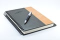 Leather diary 2011 Royalty Free Stock Photo