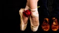 Leather cognac brown shoes and ballerina shoes with red rose