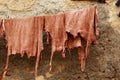 Leather drying on the ropes in old Tannery of Tetouan Medina. Royalty Free Stock Photo