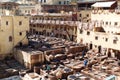 Leather dying in the traditional Chouara Tannery in Fes. Morocco, Africa Royalty Free Stock Photo