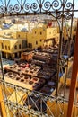 Leather dying in a traditional tannery in Fes, Morocco Royalty Free Stock Photo