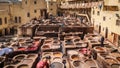 Leather dying in a traditional tannery in Fez, Morocco Royalty Free Stock Photo