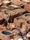 Leather dying in a traditional tannery in Fez, Morocco Royalty Free Stock Photo