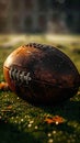 Leather football resting on the green playing field under sunlight