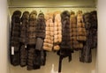 Fur coats on hangers in leather and fur shop. Royalty Free Stock Photo