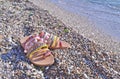 Leather greek sandals on the beach