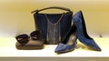 Leather handbag, shoes and sunglass for women