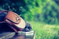 Leather handbag, smartphone and jacket on a park bench, nobody Royalty Free Stock Photo