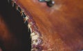 Leather Handmade Stitch Detail, Handcrafted Leather Goods, Hand Sewing and Stitching Royalty Free Stock Photo