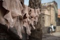 Leather hanging to dry on a line in a Marrakech tannery