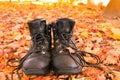 Leather hiking boots worn on fall forest hike