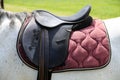 Leather horse saddle on a grey horseback Royalty Free Stock Photo