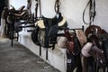 Leather horse saddles and equipment resting on hangers in tack r Royalty Free Stock Photo