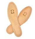 Leather insole for shoes Royalty Free Stock Photo
