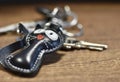 Leather key ring  cat and keys Royalty Free Stock Photo