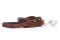 Leather leash