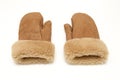 Leather Mittens Royalty Free Stock Photo