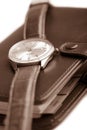 Leather organizer and watch isolated Royalty Free Stock Photo