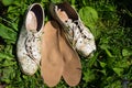Leather orthopedic insoles with running shoes on the grass. Heal