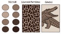 Leather patterns and swatches, texture design, material sample vector design Generative AI Royalty Free Stock Photo