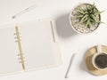 A5 leather planner mockup with stationery, coffee mug and plant pot to customise Royalty Free Stock Photo