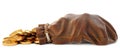 Leather sack Royalty Free Stock Photo