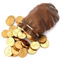 Leather sack Royalty Free Stock Photo