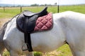 Leather saddle closeup details on horseback Royalty Free Stock Photo