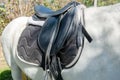 Leather saddle on the white horse Royalty Free Stock Photo