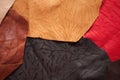 Leather samples Royalty Free Stock Photo