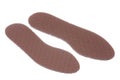 Leather Shoe Insole Padding Isolated