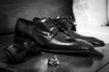 Leather shoes Royalty Free Stock Photo