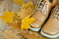 Leather shoes and yellow leaves