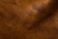 Leather skin texture background