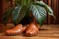 leather slippers beside a potted rubber plant on a parquet floor