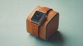 Leather smartwatch in luxury case Royalty Free Stock Photo