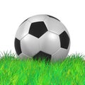 Leather Soccer Ball on Grassl high resolution 3D illustration