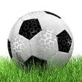 Leather Soccer Ball on Grassl a white background 3D illustration