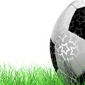 Leather Soccer Ball on Grassl a white background 3D illustration