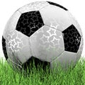 Leather Soccer Ball on Grassl a white background 3D illustration