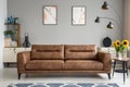 Leather sofa next to table with sunflowers in grey living room interior with posters. Real photo Royalty Free Stock Photo