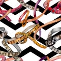 Leather spotted belt sketch fashion glamour illustration in a watercolor style background. Seamless background pattern.