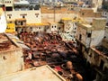 The Leather Tanneries of Fez Royalty Free Stock Photo