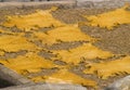 Leather tannery at fez, morocco