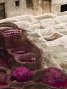 Leather tannery at fez, morocco