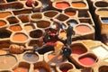 Leather tanning in Fez ,Morocco.