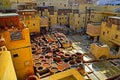 Leather tanning in Fez Ã¯Â¼ÅMorocco.