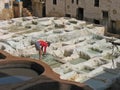 Leather tanning in Fez, Morocco Royalty Free Stock Photo