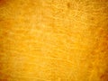Leather Texture 1 Royalty Free Stock Photo