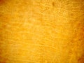 Leather Texture 1 Royalty Free Stock Photo